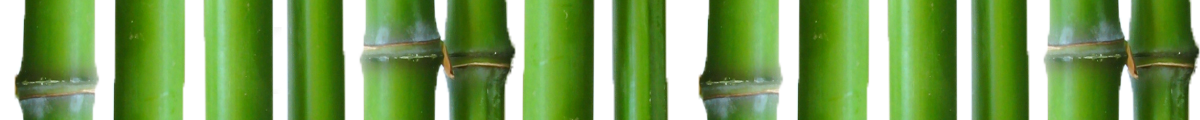 footer